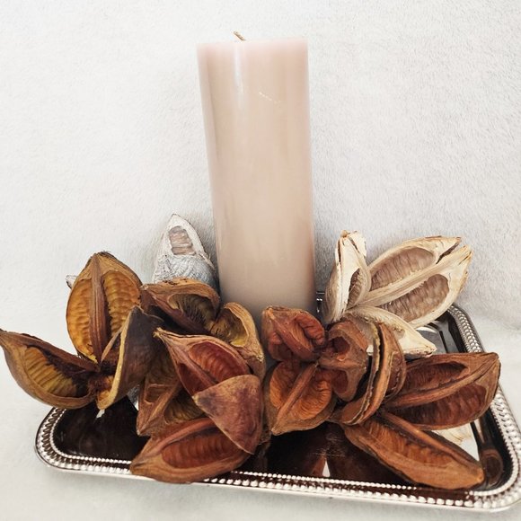 Vickerman 3-4" Assorted Sora Pod, Bulk Assorted Colors - Picture 2 of 2